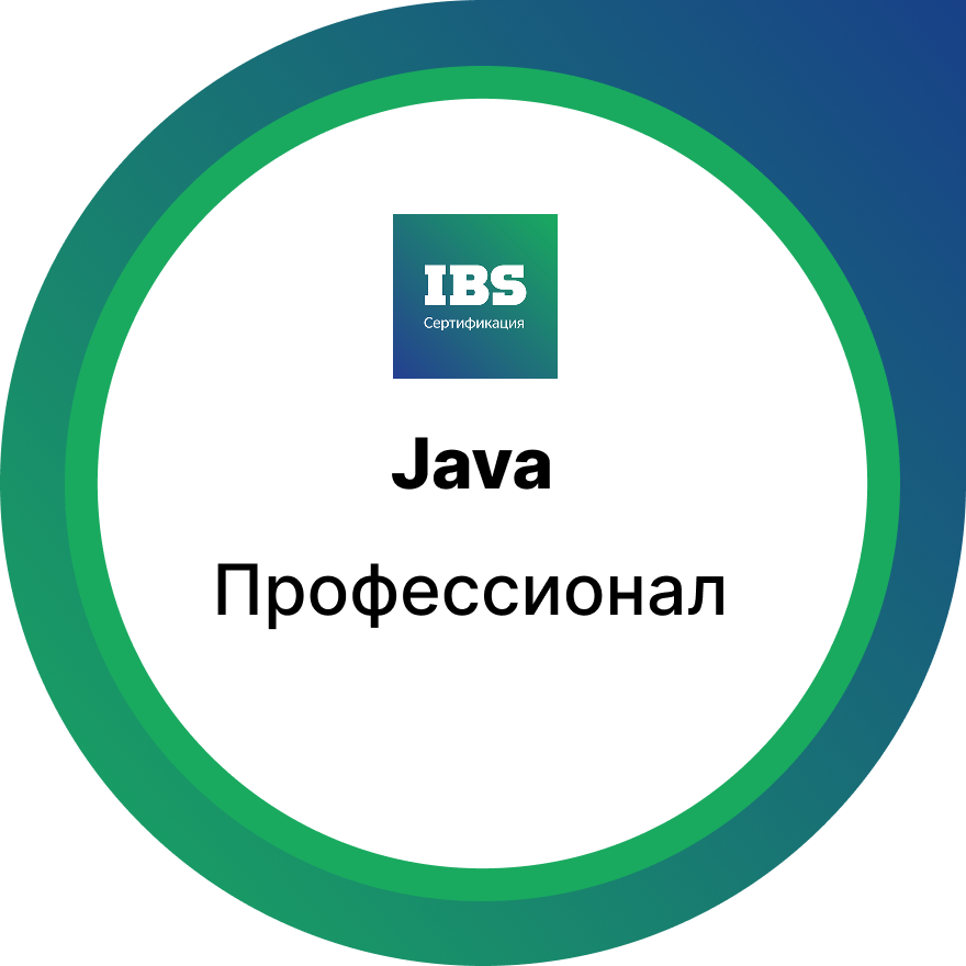 Уровень «Профессионал»